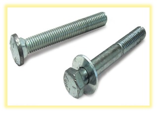 Bolt Washer