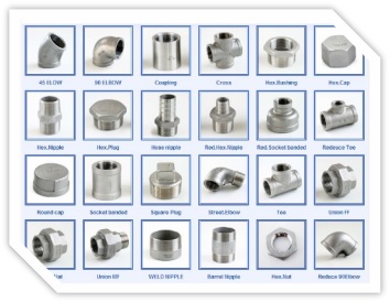 Stainless Steel Fitting-1